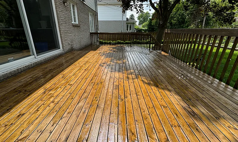 Deck Sanding & Staining